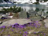 Pirin-National-Park-Bulgaria-2
